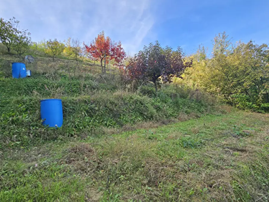 Immagine 30 di Casa indipendente in vendita  in LOCALITAì BRICCO RAMPONE 22 a Frinco