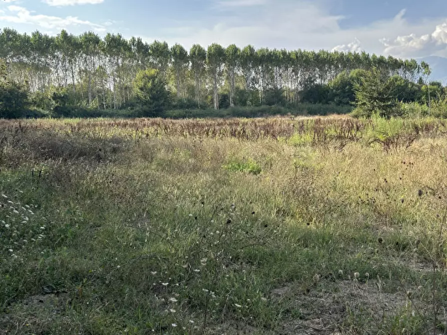Immagine 1 di Terreno in vendita  a Cassino