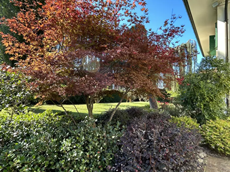 Immagine 49 di Casa indipendente in vendita  in Via della Vernice a Noale