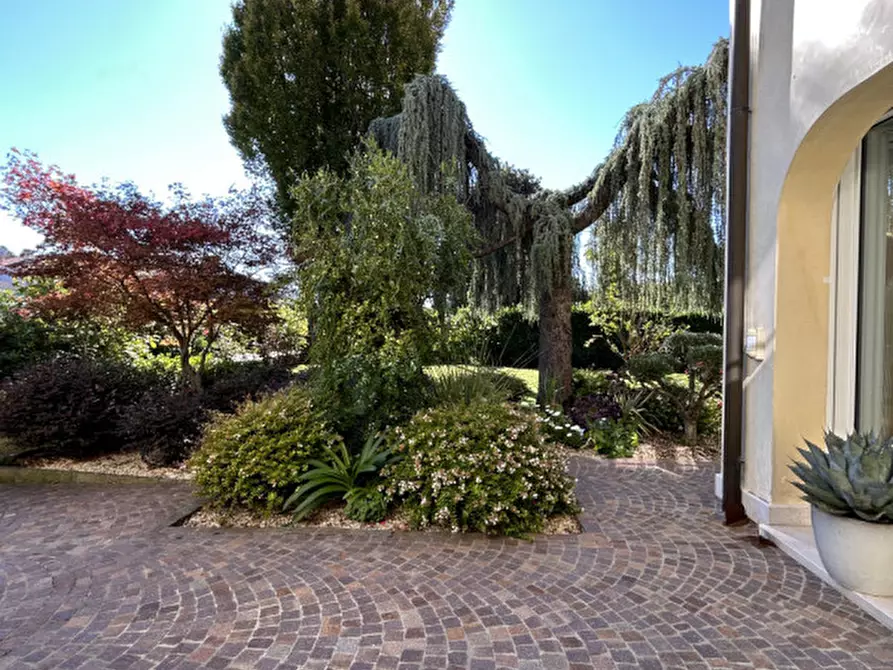 Immagine 52 di Casa indipendente in vendita  in Via della Vernice a Noale