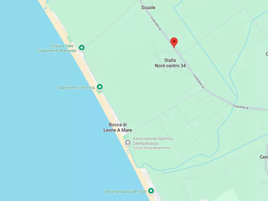 Immagine 4 di Villa in vendita  in Viale Maria a Fiumicino