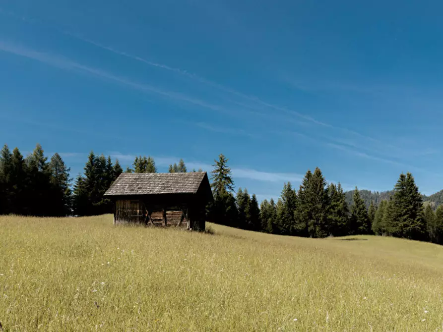 Immagine 9 di Rustico / casale in vendita  a La Valle .Wengen.