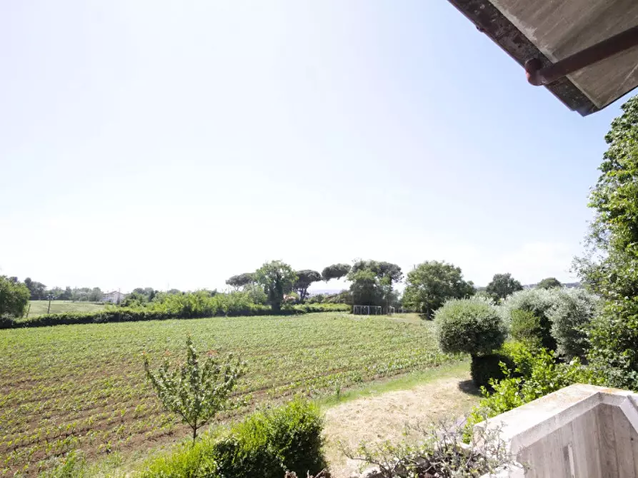 Immagine 23 di Appartamento in vendita  in via paola a Riccione