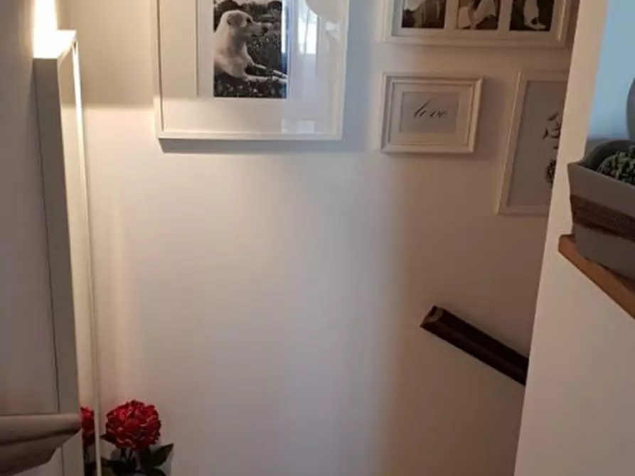 Immagine 27 di Casa quadrifamiliare in vendita  in Via San Marco a Veggiano