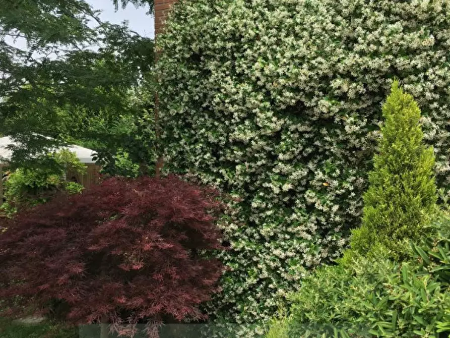 Immagine 40 di Casa quadrifamiliare in vendita  in Via San Marco a Veggiano