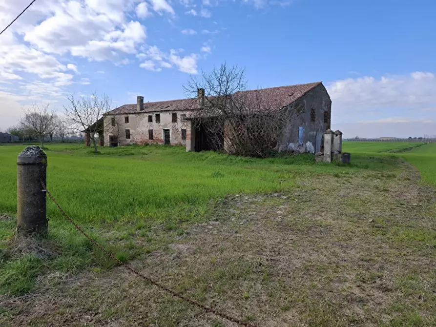 Immagine 1 di Terreno in vendita  in Via Primo Maggio a Villamarzana
