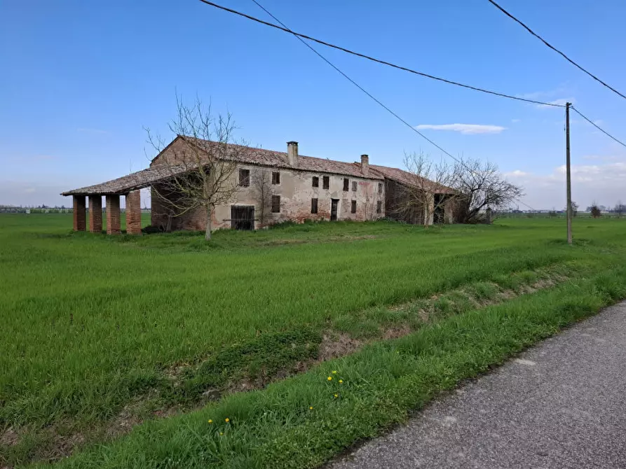 Immagine 2 di Terreno in vendita  in Via Primo Maggio a Villamarzana