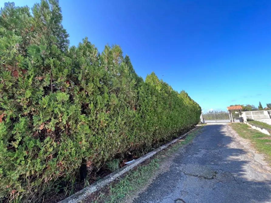 Immagine 4 di Villa in vendita  in Pizzo (VV), Contrada Speziale snc a Pizzo