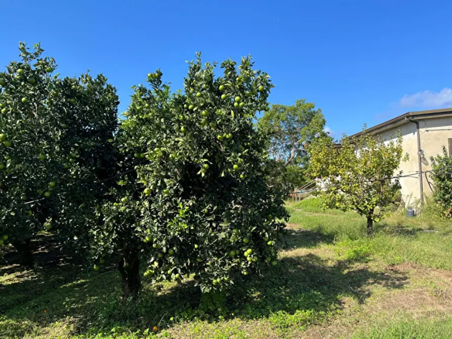 Immagine 7 di Villa in vendita  in Pizzo (VV), Contrada Speziale snc a Pizzo