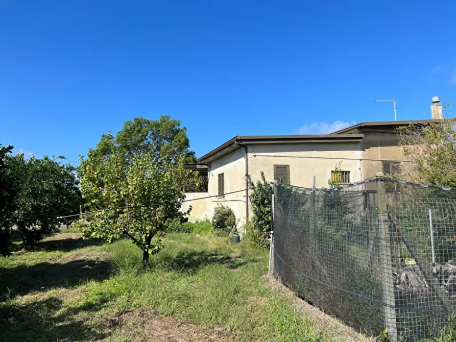 Immagine 8 di Villa in vendita  in Pizzo (VV), Contrada Speziale snc a Pizzo