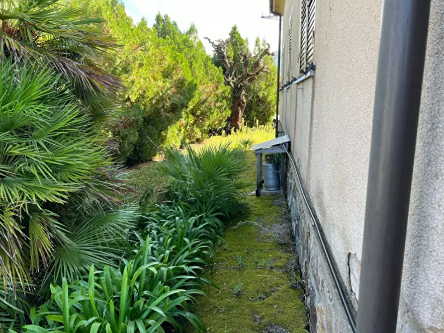 Immagine 14 di Villa in vendita  in Pizzo (VV), Contrada Speziale snc a Pizzo