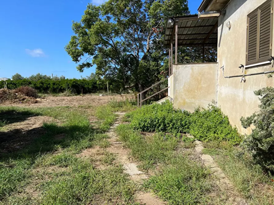 Immagine 30 di Villa in vendita  in Pizzo (VV), Contrada Speziale snc a Pizzo