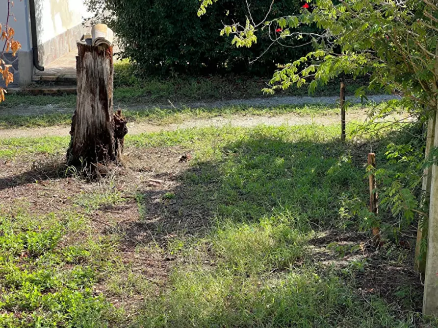 Immagine 41 di Villa in vendita  in Pizzo (VV), Contrada Speziale snc a Pizzo