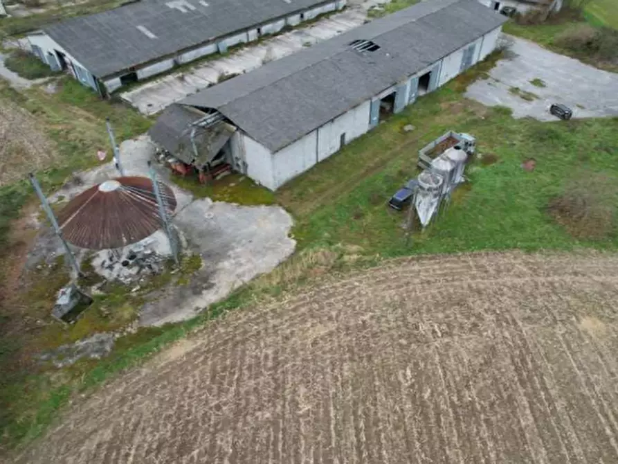 Immagine 3 di Capannone industriale in vendita  in Via Nave, 1 a Borgo Valbelluna