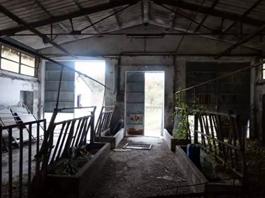 Immagine 6 di Capannone industriale in vendita  in Via Nave, 1 a Borgo Valbelluna