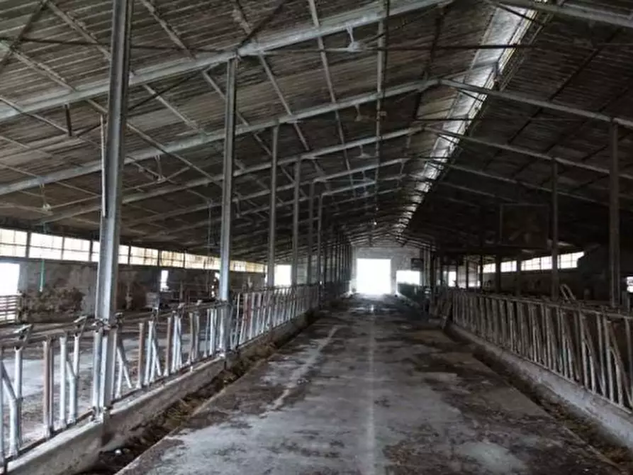 Immagine 7 di Capannone industriale in vendita  in Via Nave, 1 a Borgo Valbelluna