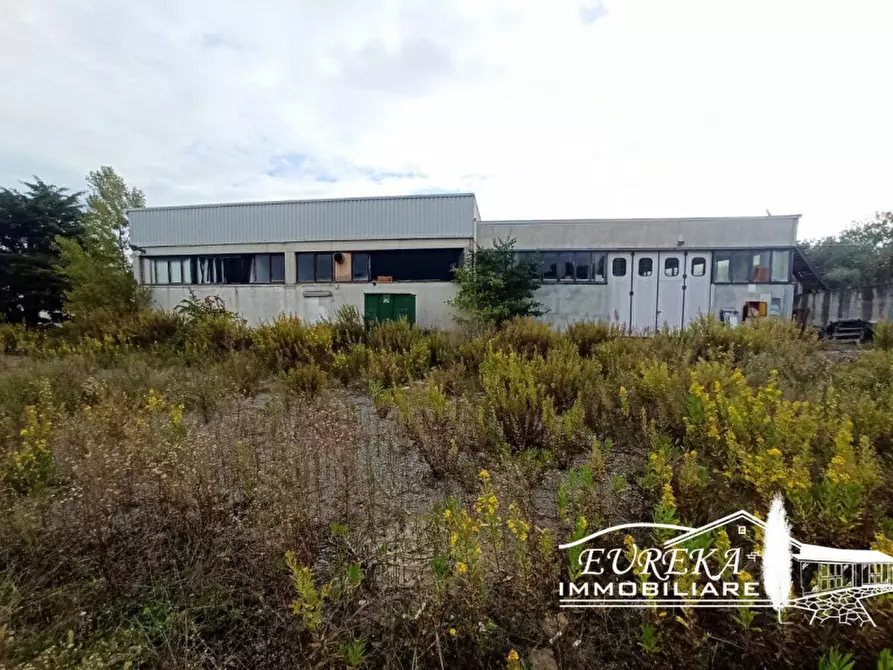 Immagine 2 di Capannone industriale in vendita  in via della sapienza a Magione