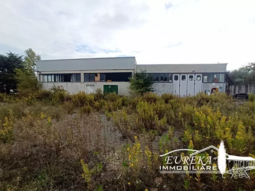 Immagine 3 di Capannone industriale in vendita  in via della sapienza a Magione