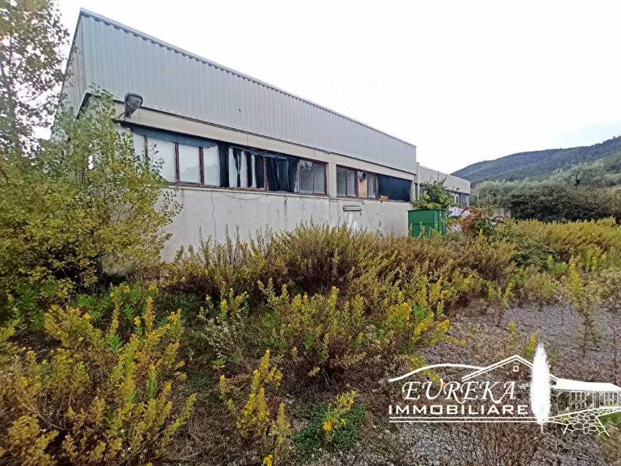 Immagine 4 di Capannone industriale in vendita  in via della sapienza a Magione