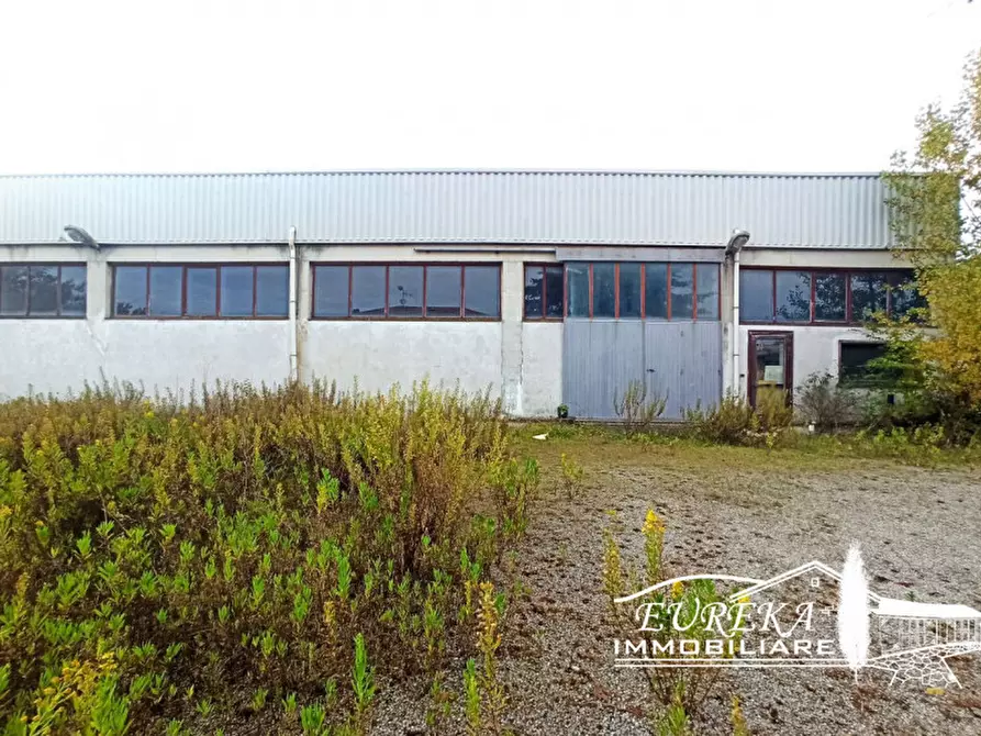 Immagine 5 di Capannone industriale in vendita  in via della sapienza a Magione