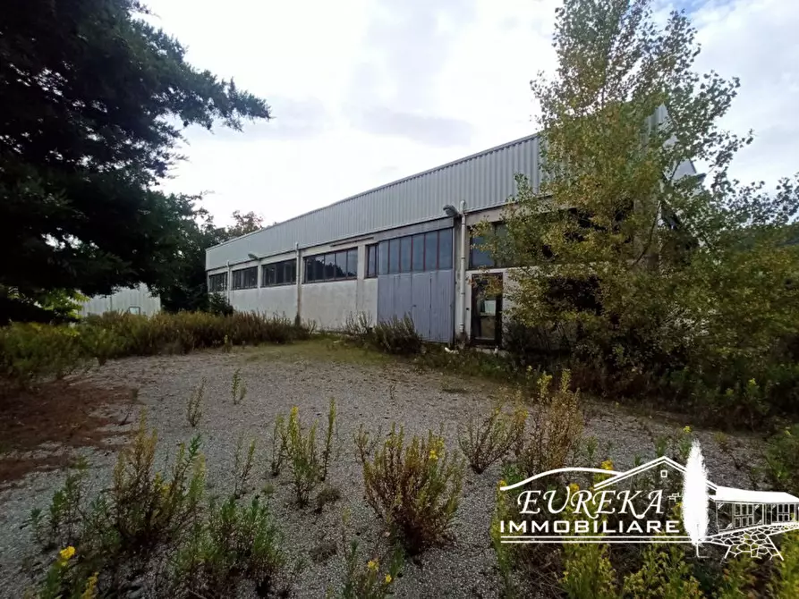 Immagine 6 di Capannone industriale in vendita  in via della sapienza a Magione