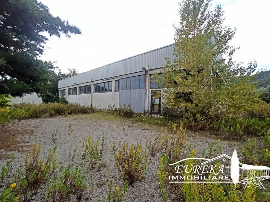 Immagine 7 di Capannone industriale in vendita  in via della sapienza a Magione