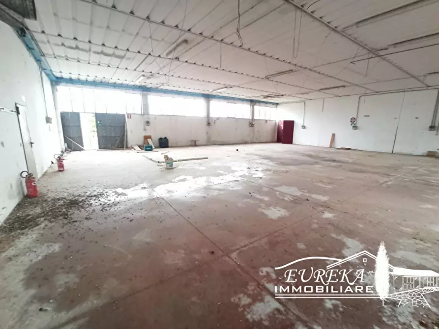 Immagine 12 di Capannone industriale in vendita  in via della sapienza a Magione