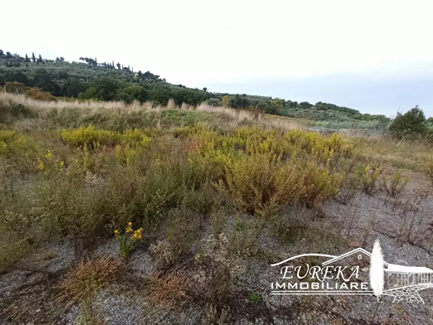 Immagine 22 di Capannone industriale in vendita  in via della sapienza a Magione