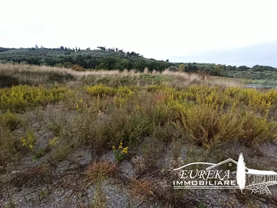 Immagine 23 di Capannone industriale in vendita  in via della sapienza a Magione