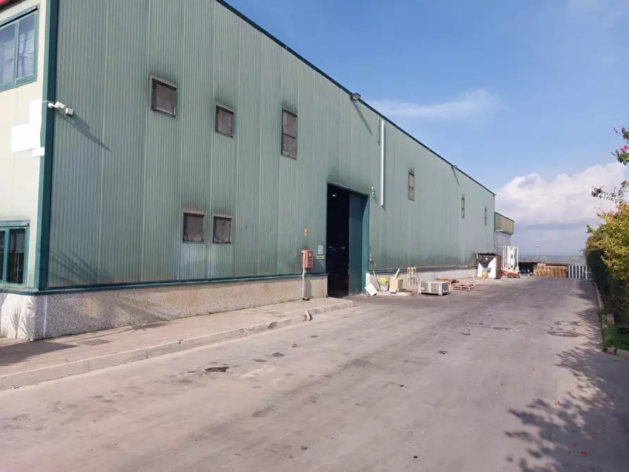 Immagine 5 di Capannone industriale in vendita  in Viale del lavoro, N. snc a Mazzarrone