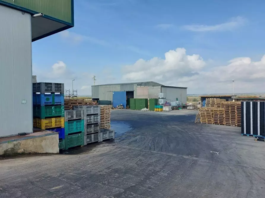Immagine 6 di Capannone industriale in vendita  in Viale del lavoro, N. snc a Mazzarrone