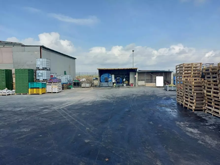 Immagine 7 di Capannone industriale in vendita  in Viale del lavoro, N. snc a Mazzarrone