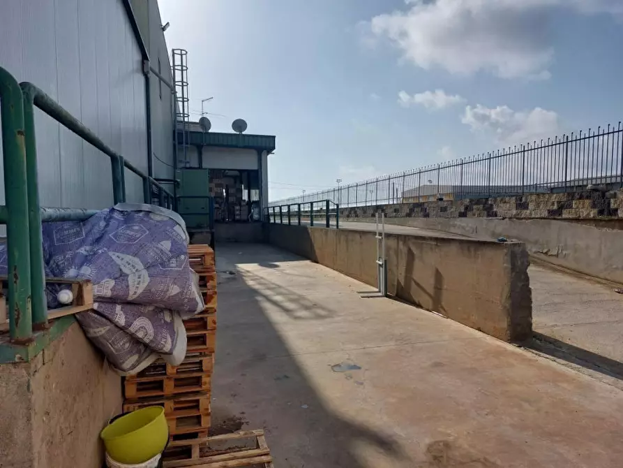 Immagine 9 di Capannone industriale in vendita  in Viale del lavoro, N. snc a Mazzarrone