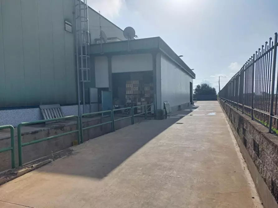 Immagine 10 di Capannone industriale in vendita  in Viale del lavoro, N. snc a Mazzarrone