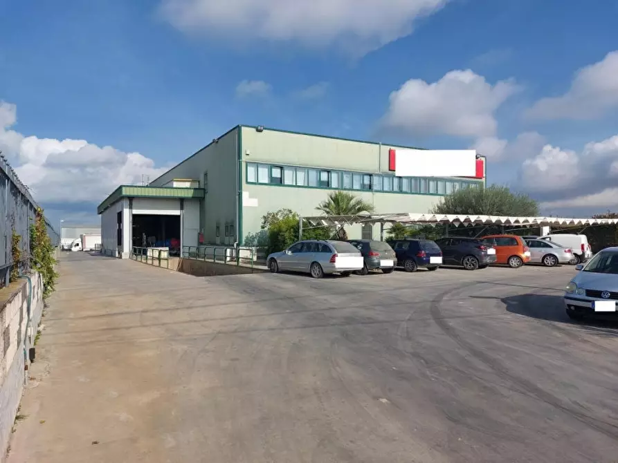 Immagine 12 di Capannone industriale in vendita  in Viale del lavoro, N. snc a Mazzarrone