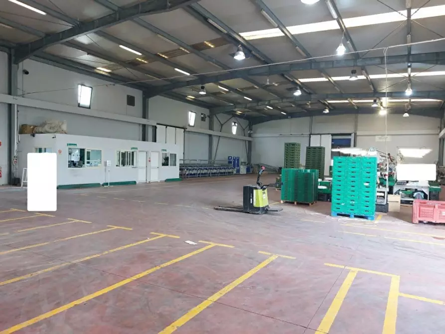 Immagine 20 di Capannone industriale in vendita  in Viale del lavoro, N. snc a Mazzarrone