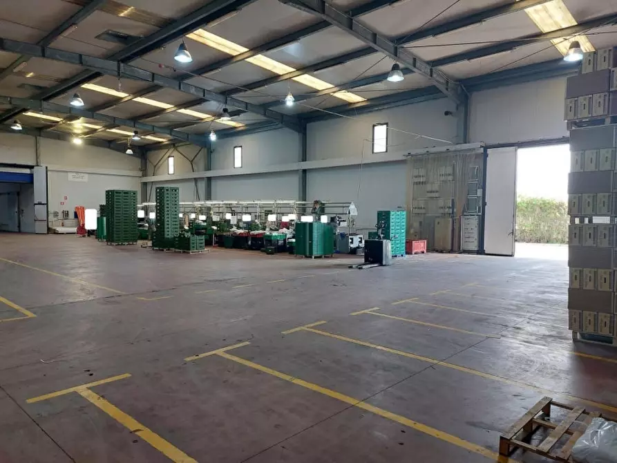 Immagine 21 di Capannone industriale in vendita  in Viale del lavoro, N. snc a Mazzarrone