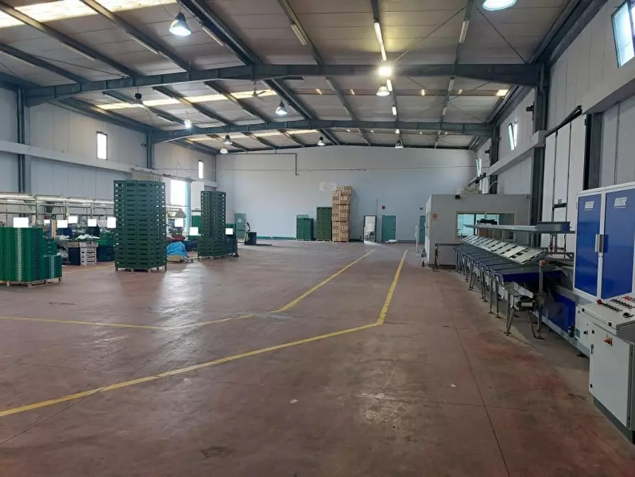 Immagine 23 di Capannone industriale in vendita  in Viale del lavoro, N. snc a Mazzarrone
