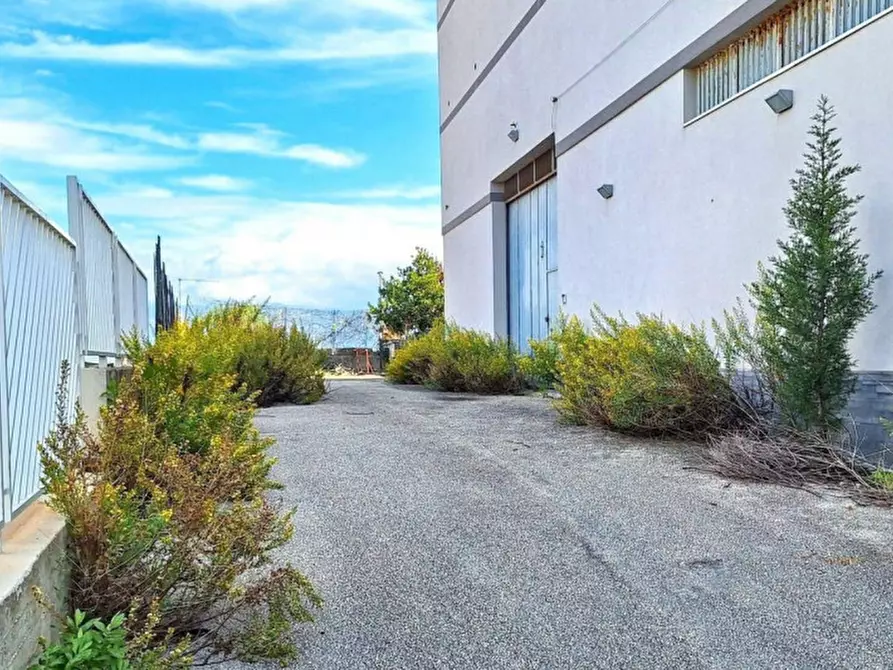Immagine 20 di Magazzino in vendita  in Contrada S. Gaetano, 91011 Alcamo TP, Italia a Alcamo