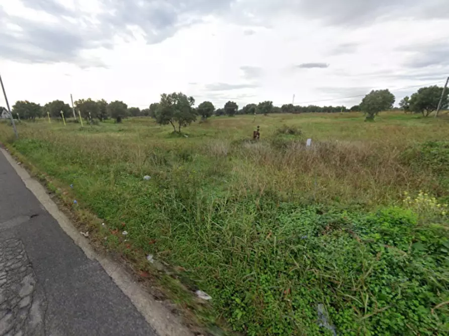 Immagine 3 di Terreno in vendita  in SP46, 88841 Isola di Capo Rizzuto KR, Italia a Isola Di Capo Rizzuto