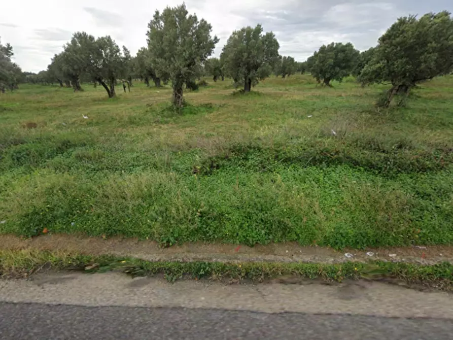 Immagine 4 di Terreno in vendita  in SP46, 88841 Isola di Capo Rizzuto KR, Italia a Isola Di Capo Rizzuto