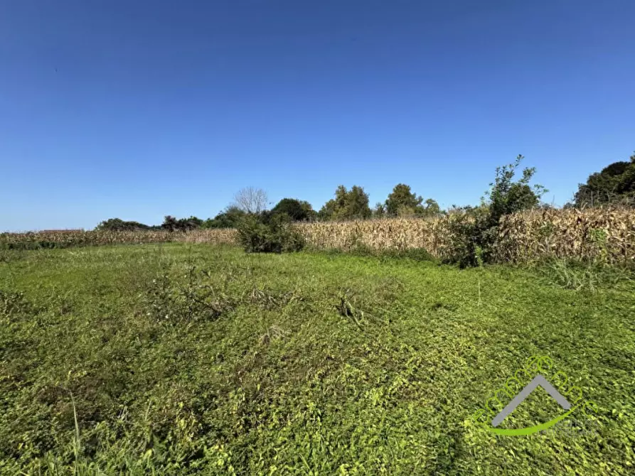 Immagine 2 di Terreno in vendita  in Via Barbariga a Stra