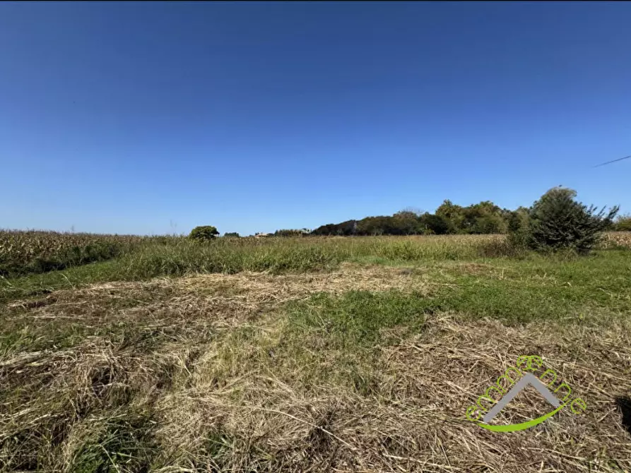 Immagine 3 di Terreno in vendita  in Via Barbariga a Stra