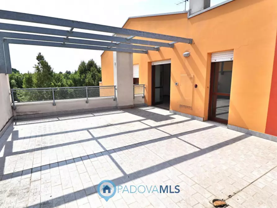 Immagine 21 di Appartamento in vendita  in Via Antonio Canova a Noventa Padovana