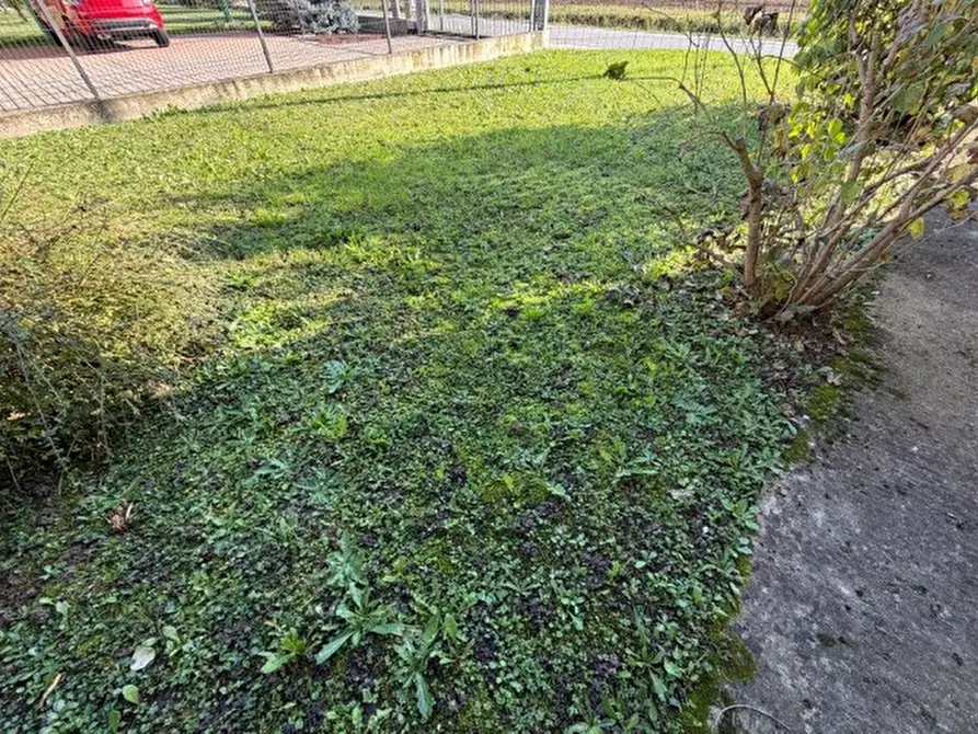 Immagine 17 di Casa bifamiliare in vendita  in Via Ca' Zusto a Vigodarzere