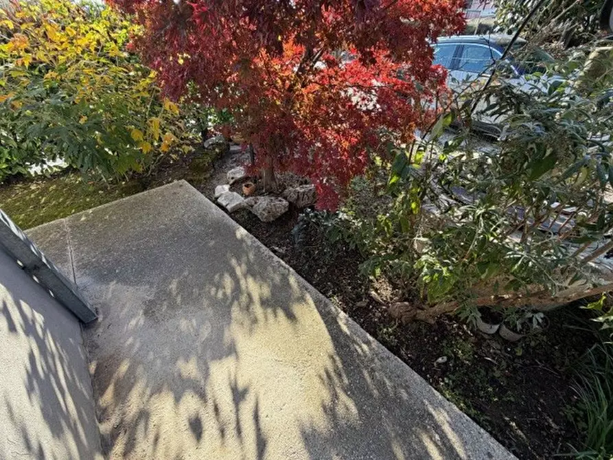 Immagine 18 di Casa bifamiliare in vendita  in Via Ca' Zusto a Vigodarzere