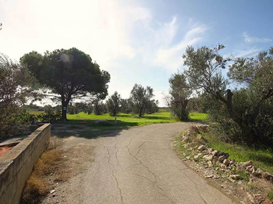 Immagine 1 di Terreno in vendita  in Strada Vicinale Mimmo a Matino