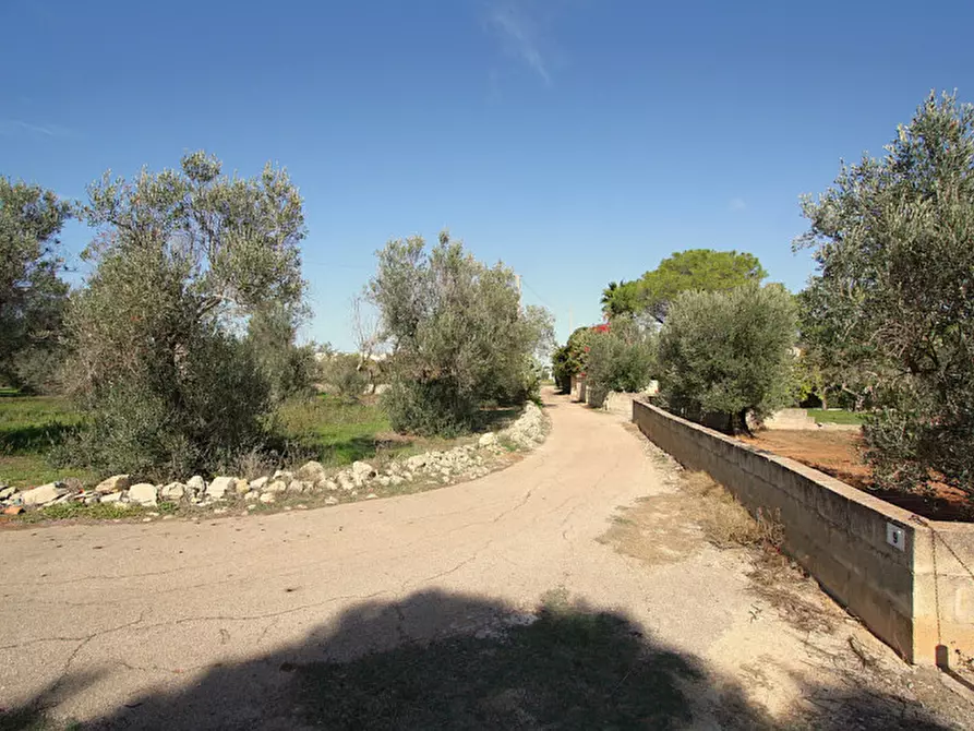 Immagine 5 di Terreno in vendita  in Strada Vicinale Mimmo a Matino