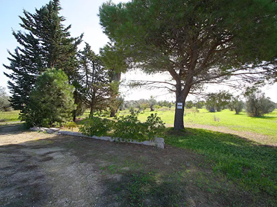 Immagine 8 di Terreno in vendita  in Strada Vicinale Mimmo a Matino