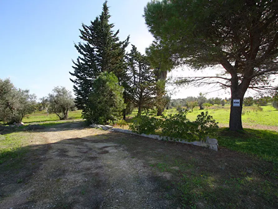 Immagine 9 di Terreno in vendita  in Strada Vicinale Mimmo a Matino